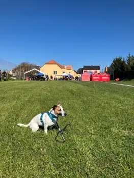 ..