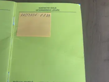 ..