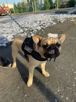 ..