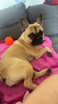 ..