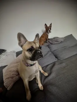 ..