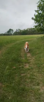 ..