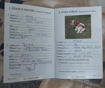 ..
