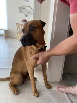 ..