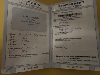 ..