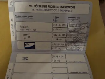 ..