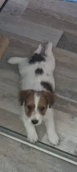 ..