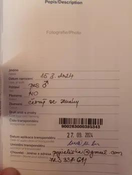 ..