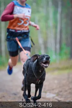 ..