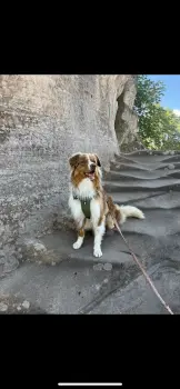 ..