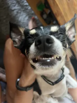 ..