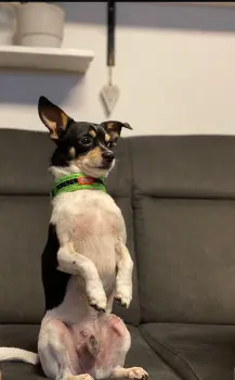..