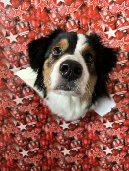 ..