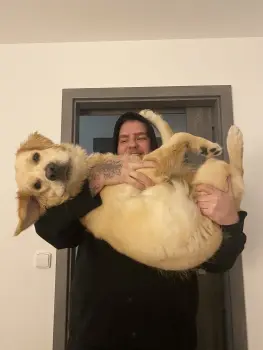 ..