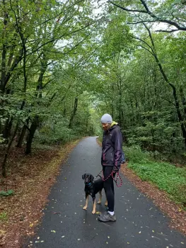 ..