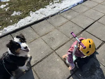 ..