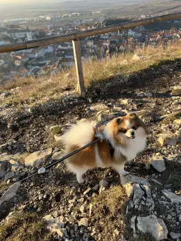 ..