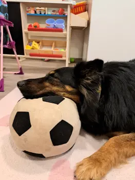 ..