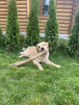 ..