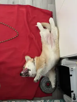 ..