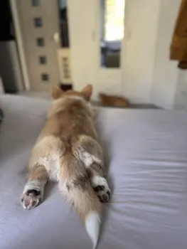 ..
