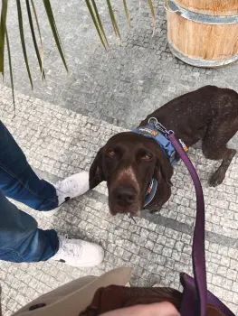 ..