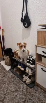 ..