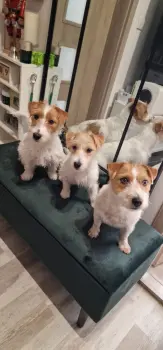 ..