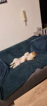 ..