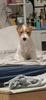 ..