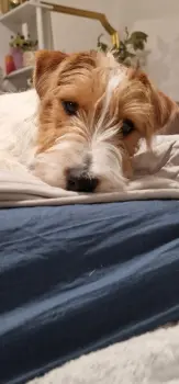 ..