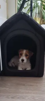..