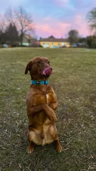 ..