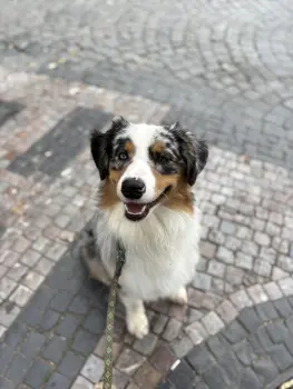 ..