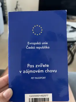 ..