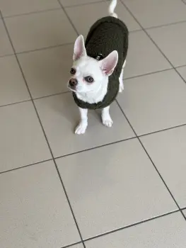 ..