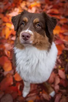 ..