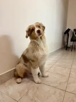 ..
